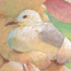 うきうき、見本