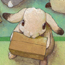 みかんをわけわけ、見本